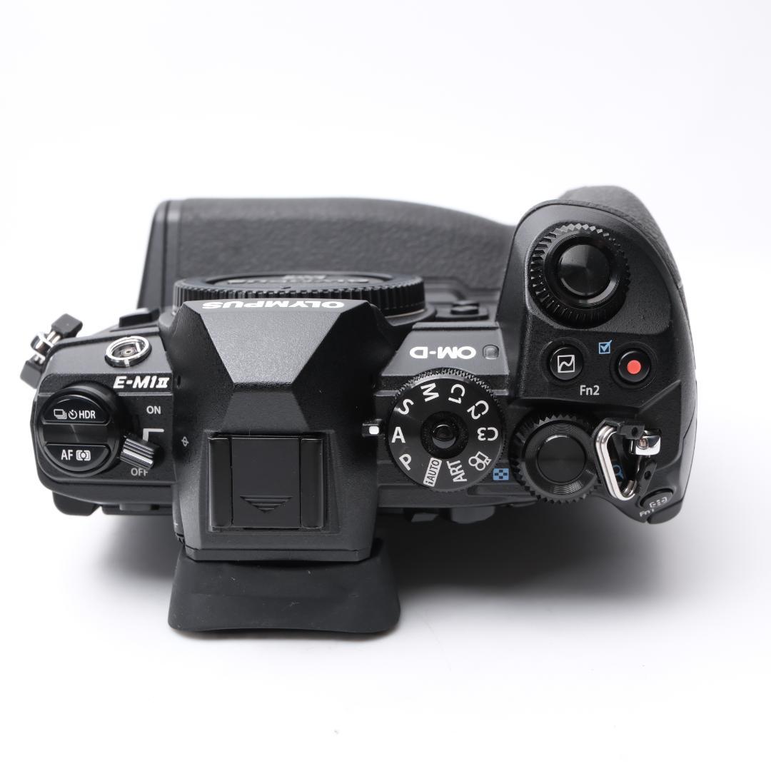 綺麗 OLYMPUS OM-D E-M1 Mark II + HLD-9