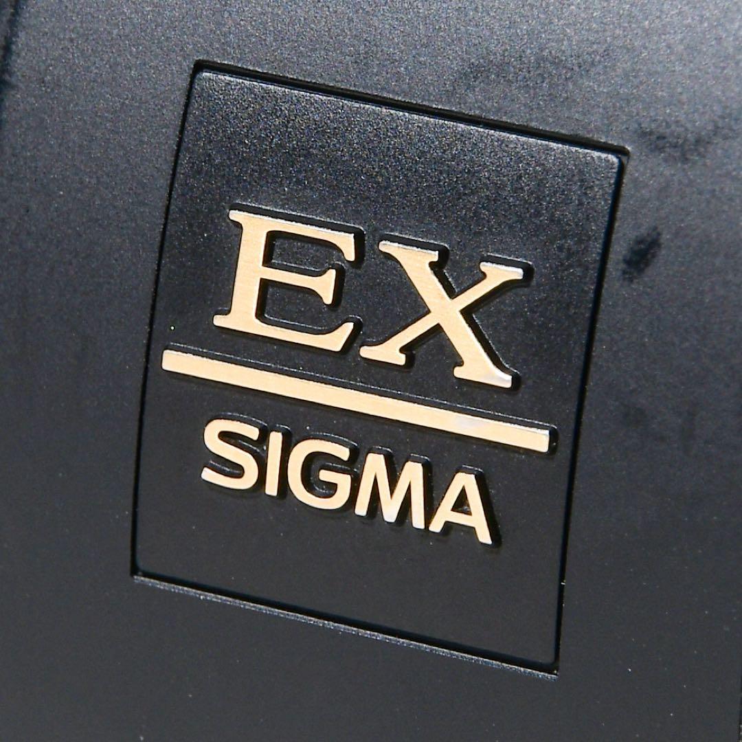 レンズ(ズーム) SIGMA 70-200mm F2.8 APO DG HSM OS Nikon