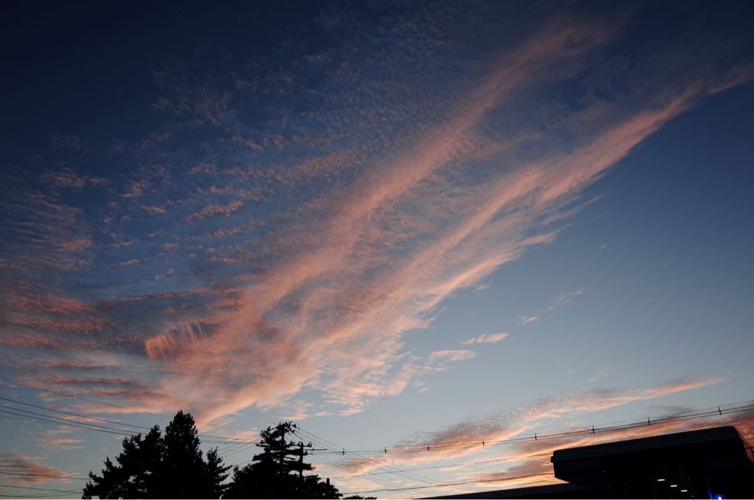 【シャッター500回代 】RICOH 初代GR（APS-C初代）