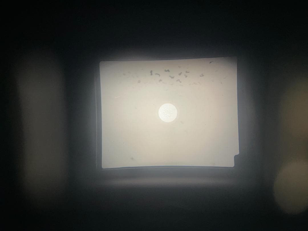 フィルムカメラ ZENZA BRONICA ETRS + ZENZANON 75mm F2.8