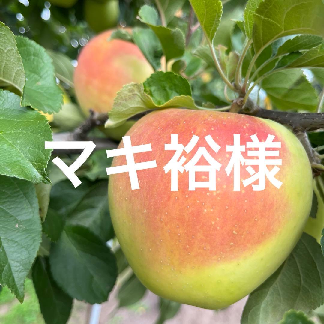 マキ裕ページ✨10kg