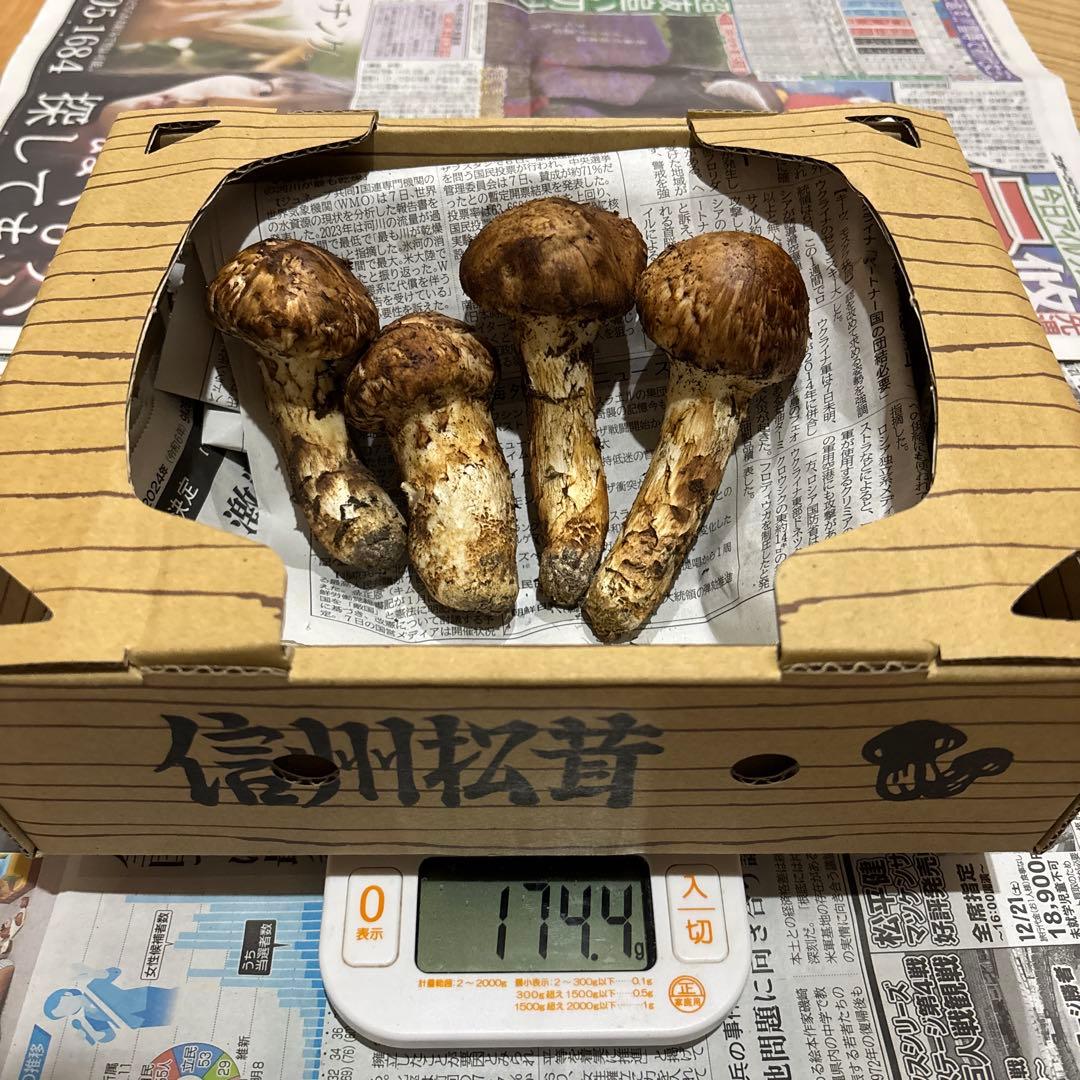 長野県産マツタケ 国産4個 177.4g ②