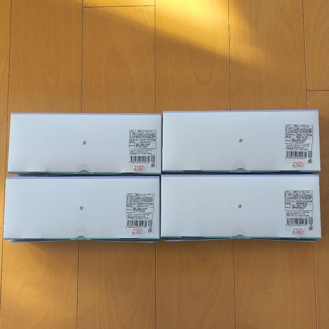 OYSTER SHELL & LEMON 広島ひっつきもっつき4枚入り✕4箱