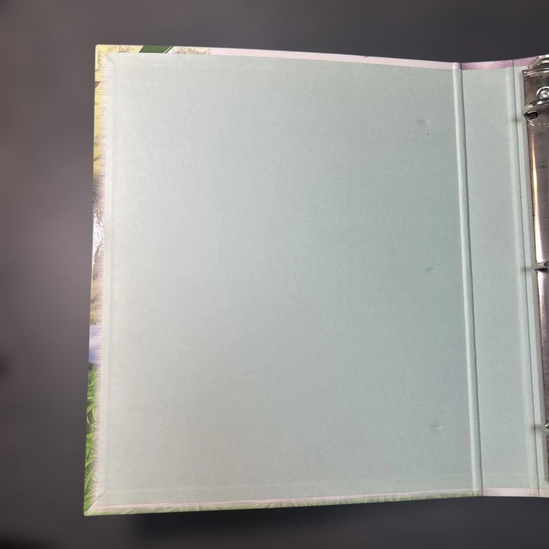 ポケモン　カードファイル　レックウザ　2003年