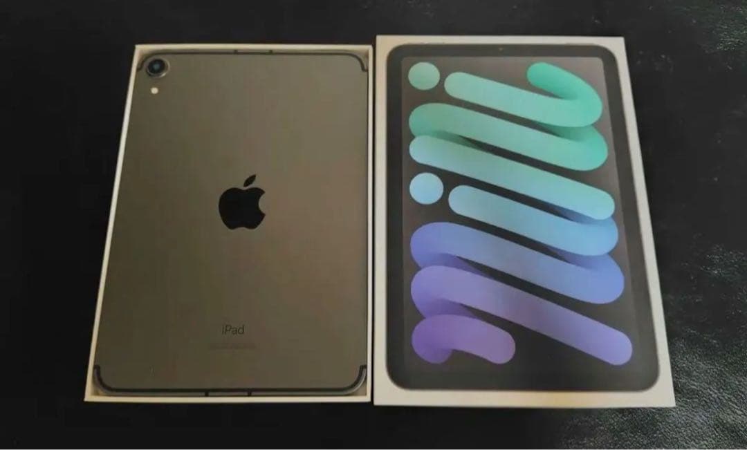 【美品】iPadmini 第6世代Cellular 64GB スペースグレイ