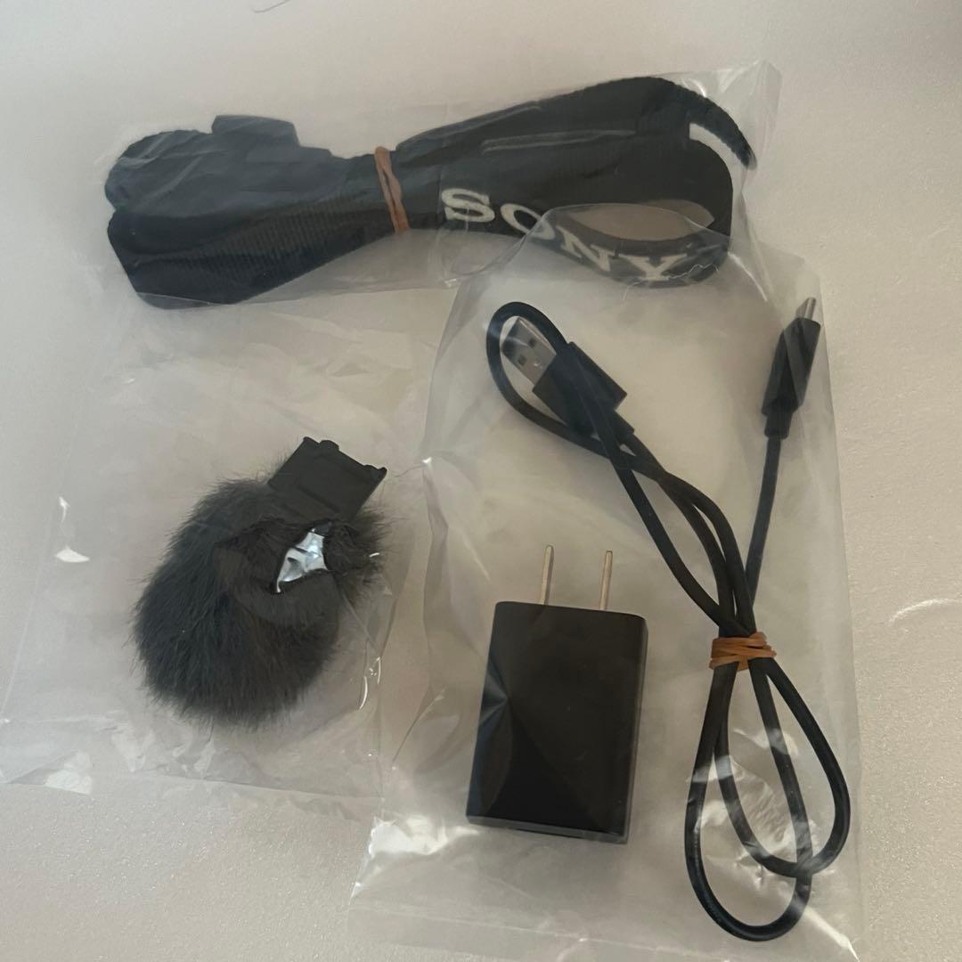 【美品ショット数2310枚！】SONY VLOGCAM ZV-E10L