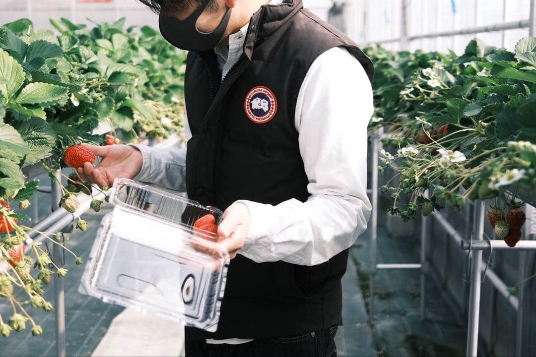 マ*ア様 週末オーク　  ARCTIC PROGRAM ダ