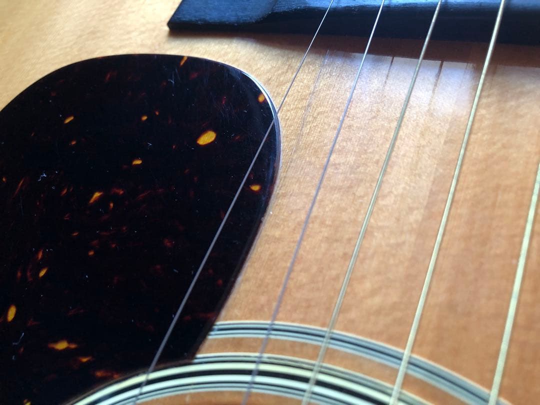 Tokai Cat's Eyes CE-1000S 81年製　ハードケース付