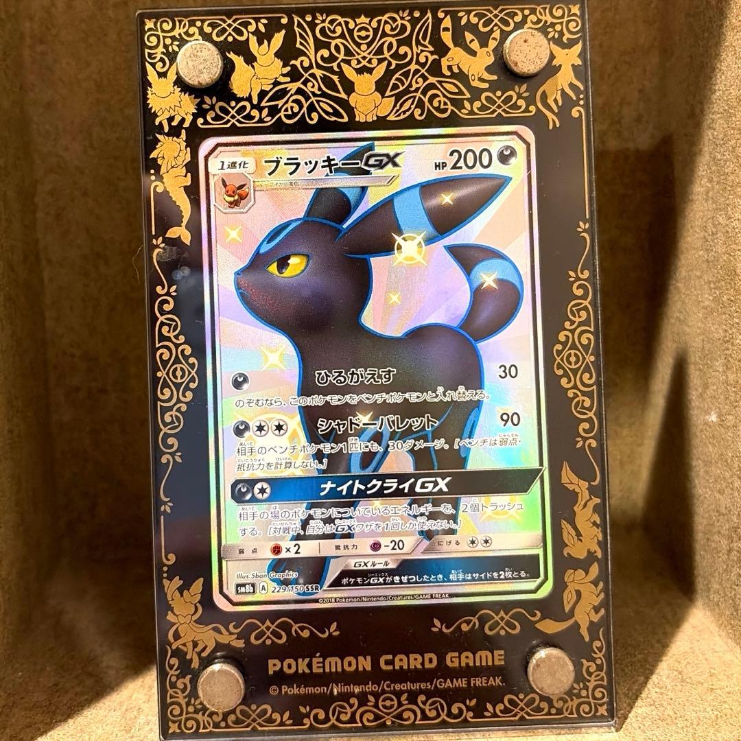 【美品】ブラッキーGX SSR 229/150 SM8b GXウルトラシャイニー