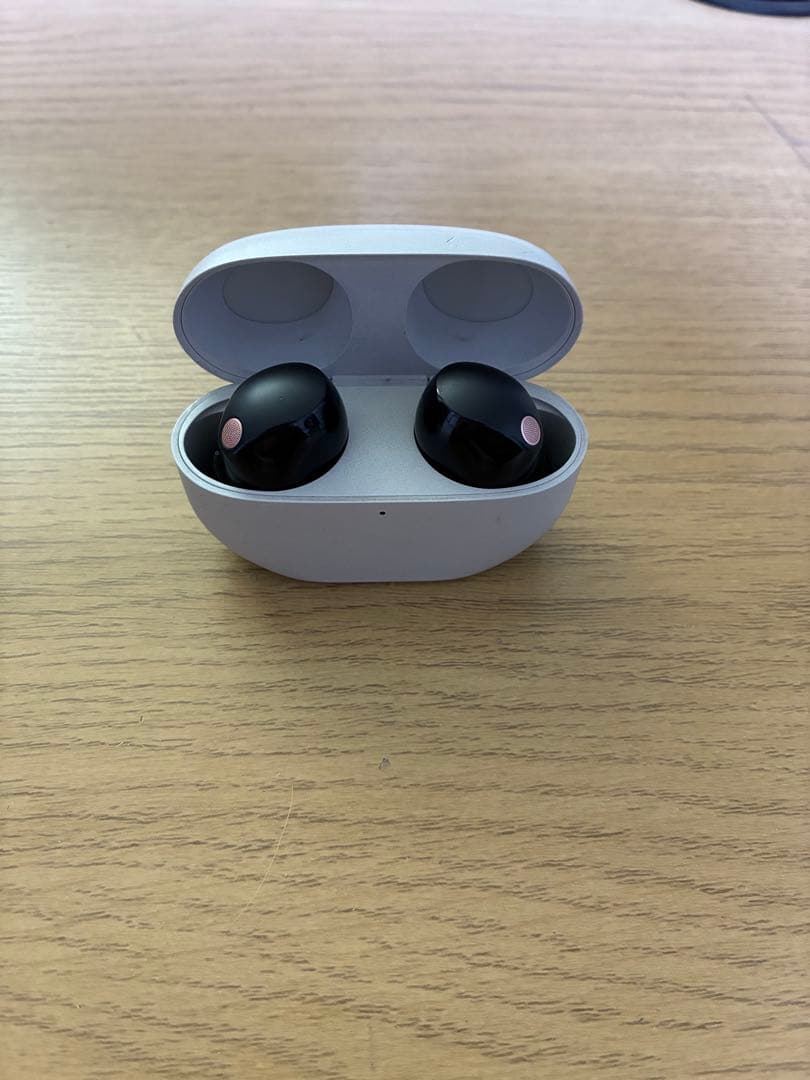 SONY WF-1000XM5 チョコミントさん専用