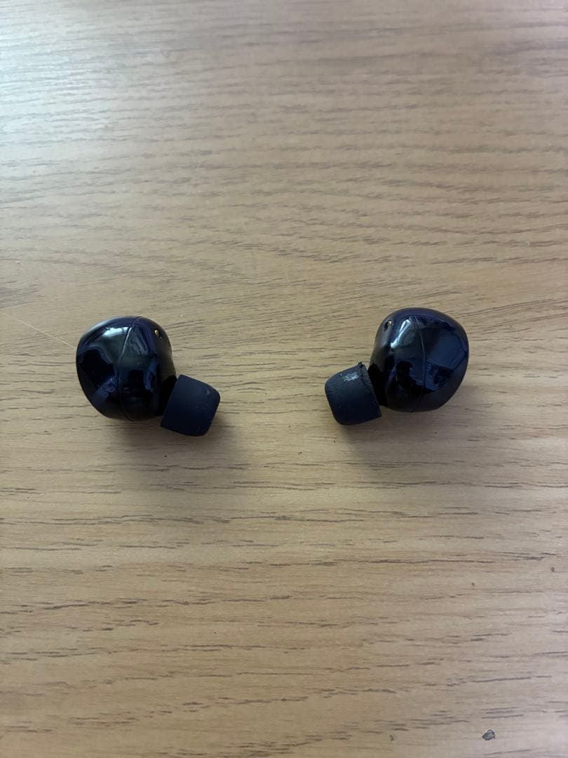 SONY WF-1000XM5 チョコミントさん専用