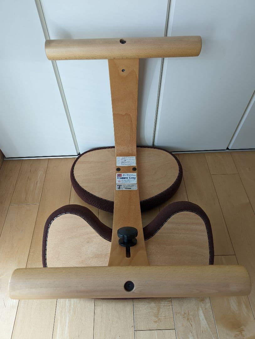 サカモトハウス　バランスイージーチェア　専用カバー付