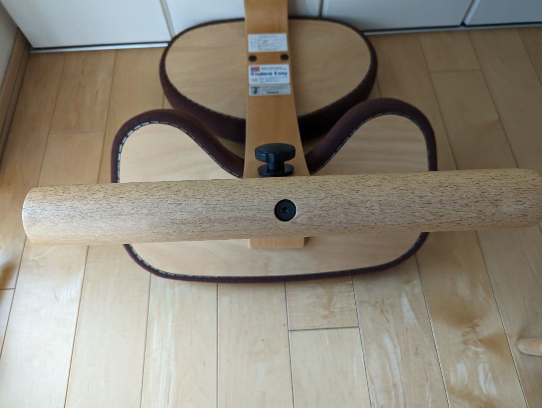 サカモトハウス　バランスイージーチェア　専用カバー付