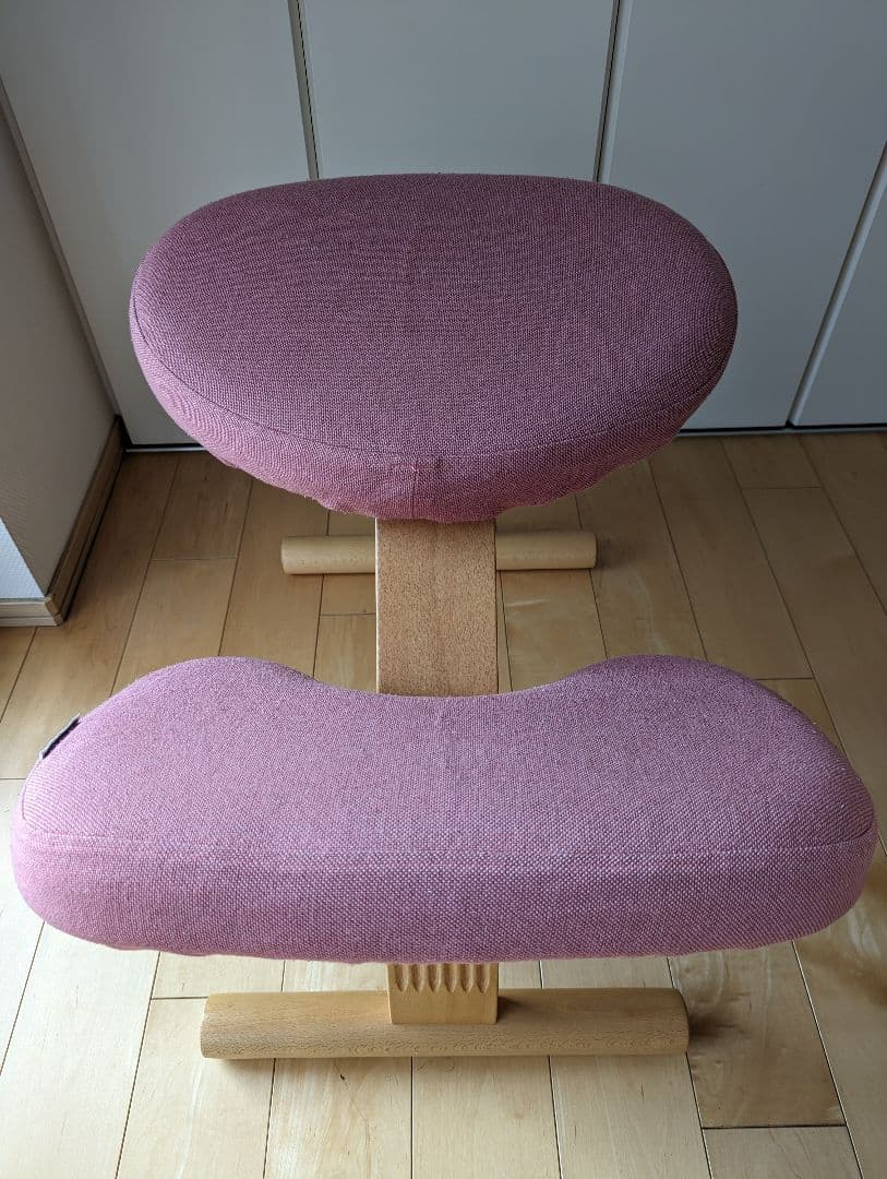 サカモトハウス　バランスイージーチェア　専用カバー付