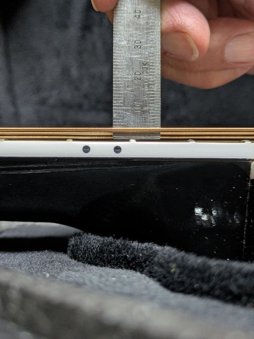 Seagull Artist Tuxedo Black EQ　エレアコ