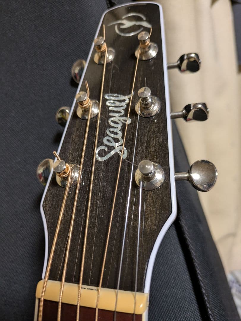 Seagull Artist Tuxedo Black EQ　エレアコ