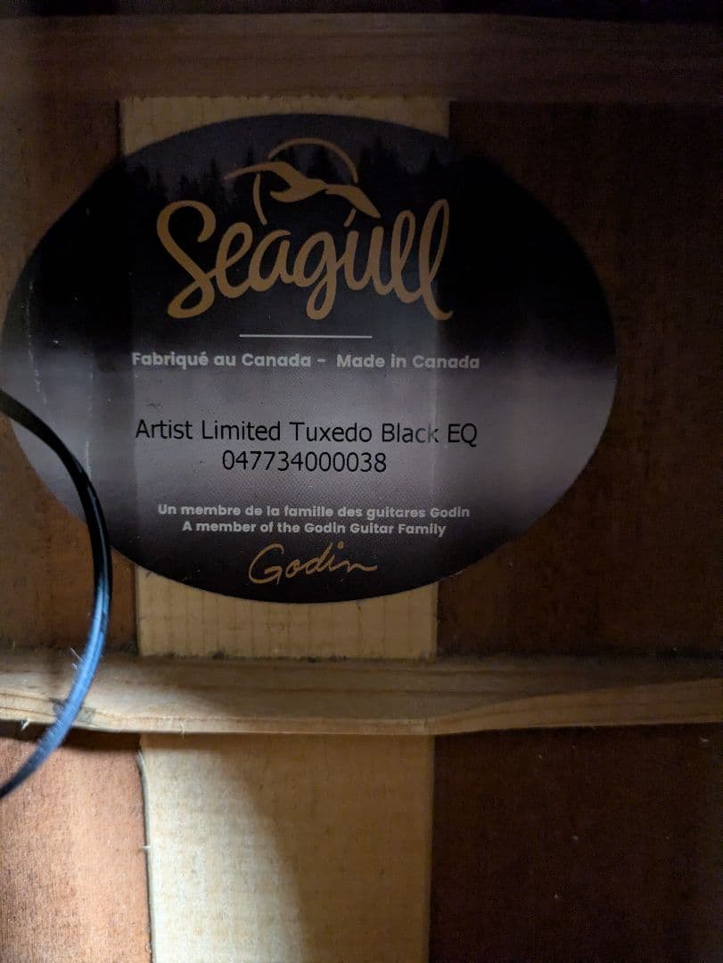 Seagull Artist Tuxedo Black EQ　エレアコ