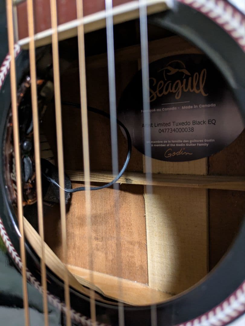 Seagull Artist Tuxedo Black EQ　エレアコ