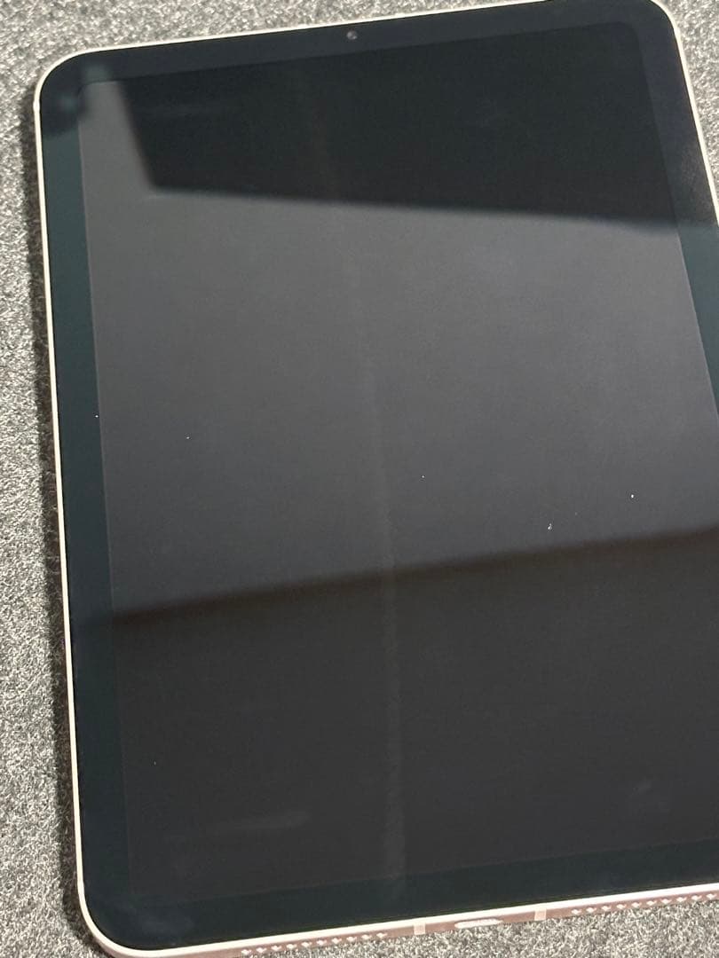 iPad mini 6 cellular 64GB AppleCare+付き