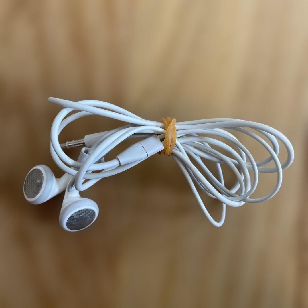 SONY MZ-E10 MDウォークマン　10年記念モデル