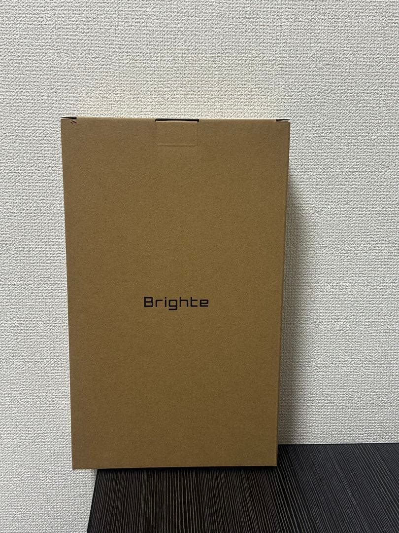 Brighte ブライト SHOWER DRYER シャワードライヤー 大風量
