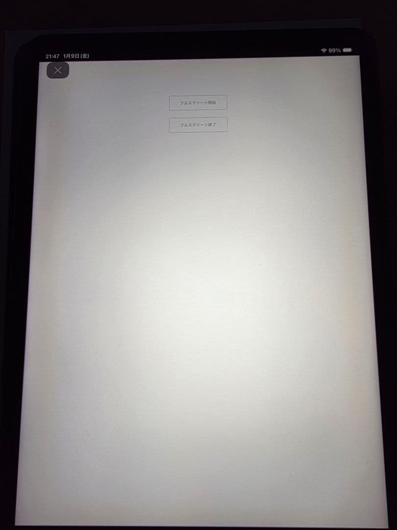 Apple iPad Pro 第2世代 11インチ スペースグレイ 256GB