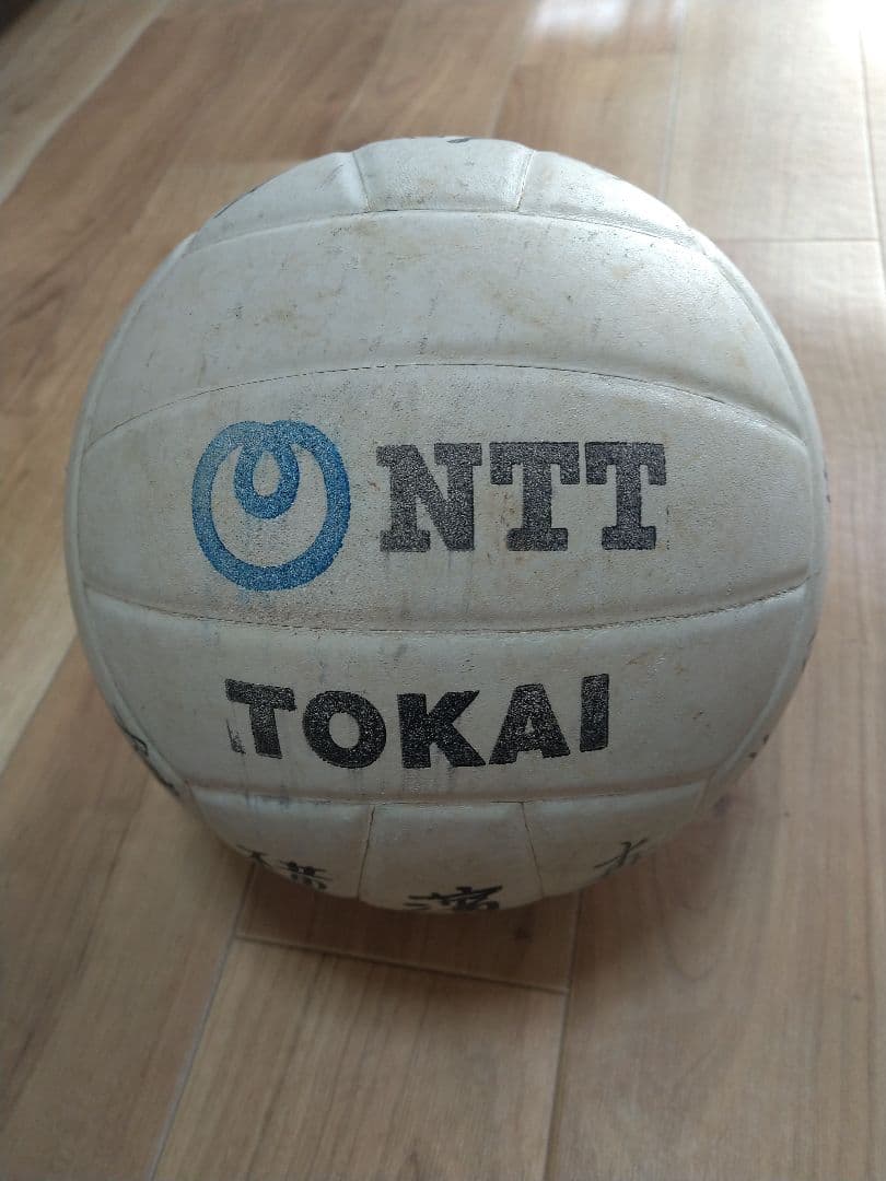 モルテン　NTT バレーボール