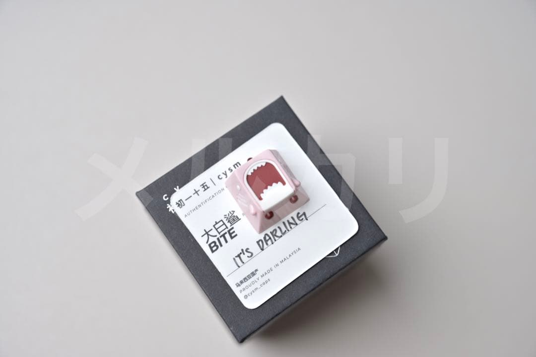 CYSM 初一十五 BITE 3set