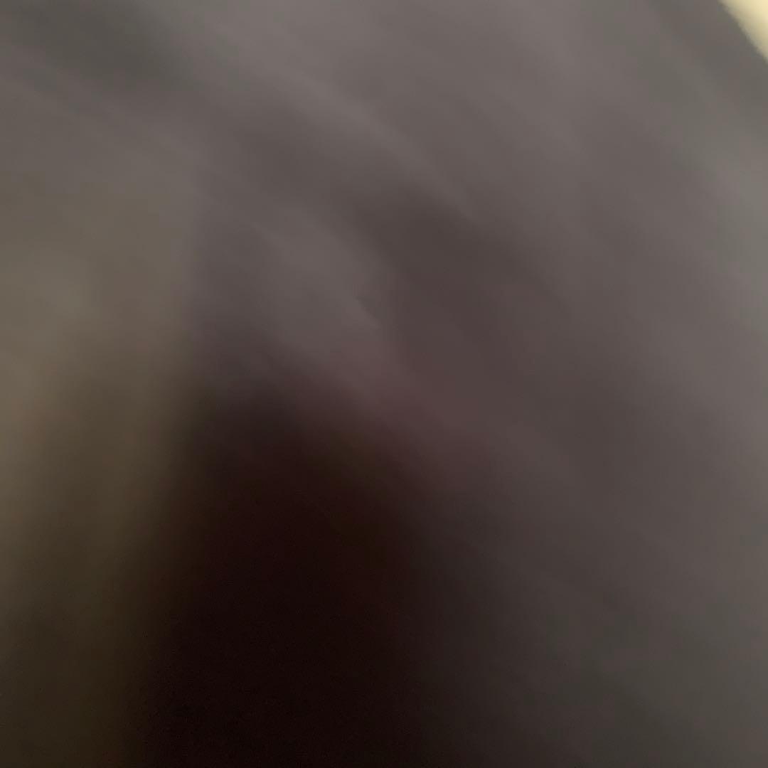 美品✨Altima サガミンク　ミンクファーコート　　ゴージャス