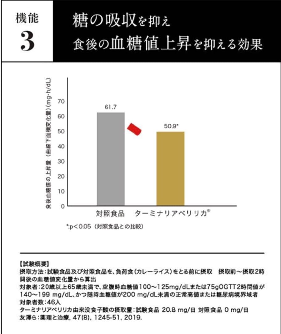 ターミナリアファースト 120粒 3個セット 正規品 ダイエット