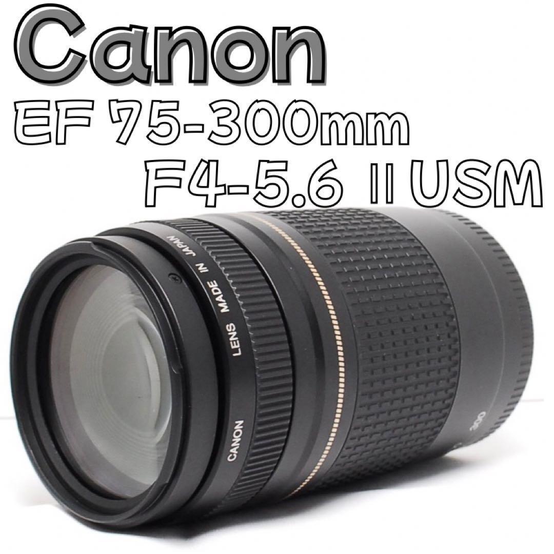 スポーツ撮影に最適✨️Canon 75-300mm F4-5.6 Ⅱ USM 望