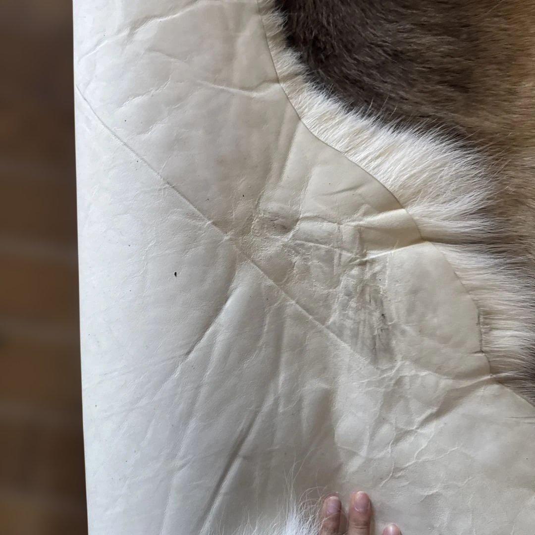 毛皮ラグ トナカイ（本物）北欧パビリオン