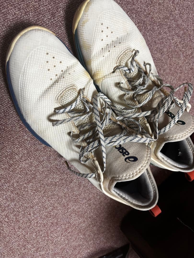 asics ballaholic GLIDE NOVA FF 専用