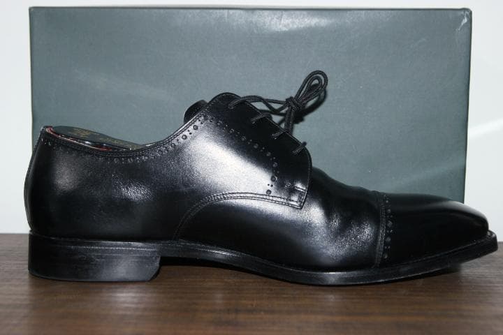 SCOTCH GRAIN スコッチグレイン 3770 パンチドキャップトゥ 革靴