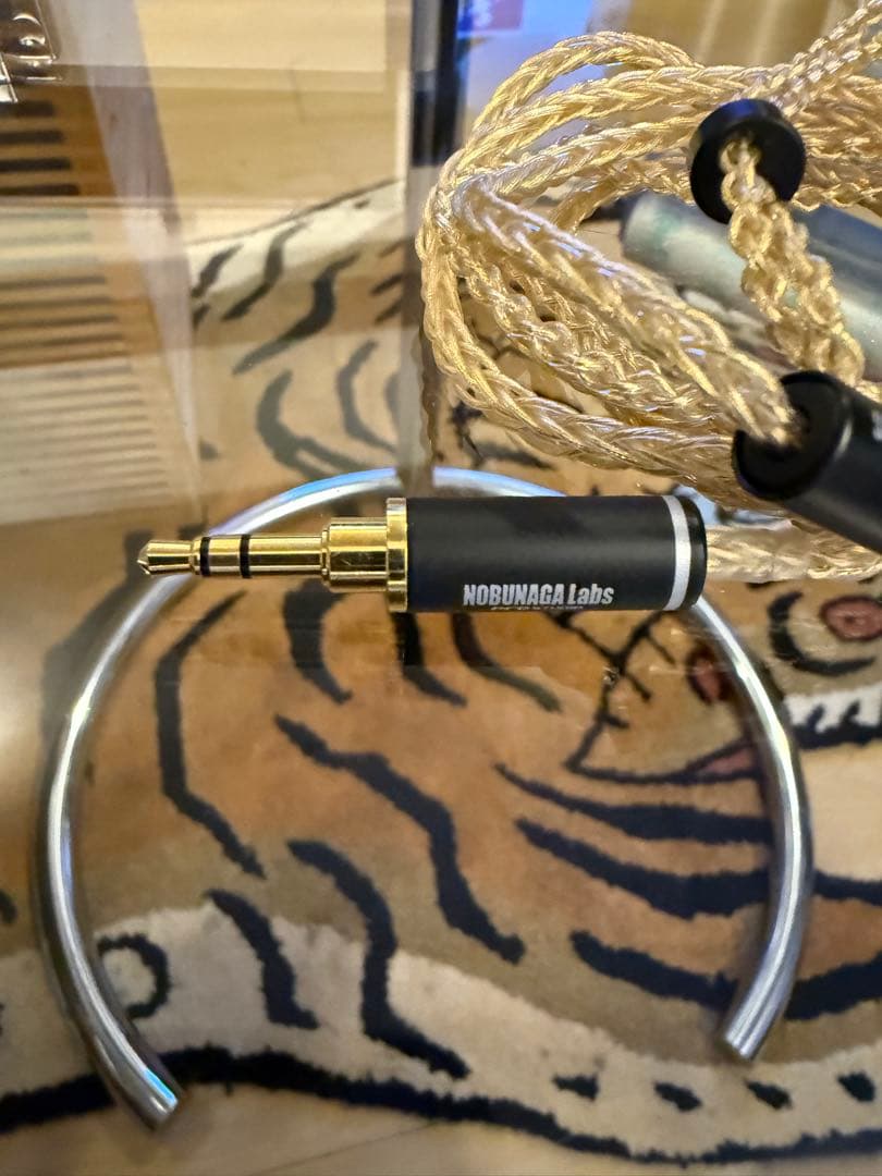 アコースチューンHS1670SS ノブナガ　ケーブル　TYPE-C切り替え付き