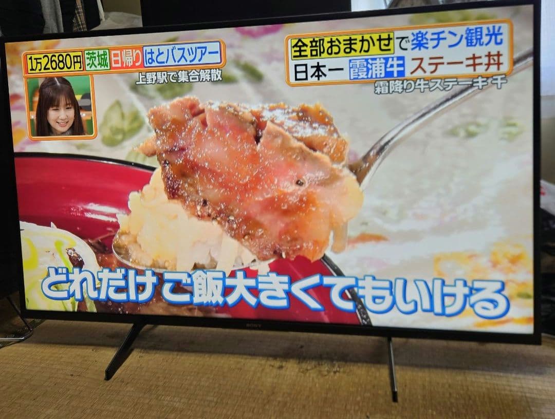 4K SONY BRAVIA液晶テレビ KJ-49X8000H 2021年