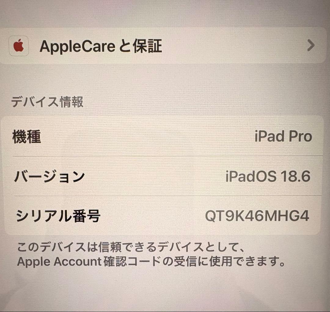 【美品】iPadPro11インチ第4世代128GB WiFiモデル