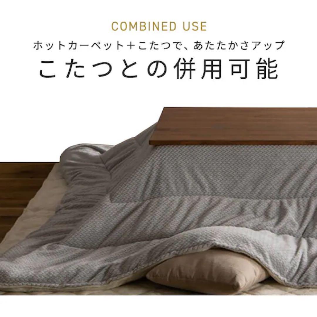 アイリスホットカーペット 3畳195×235 温度調節無段階 HCM－T2420