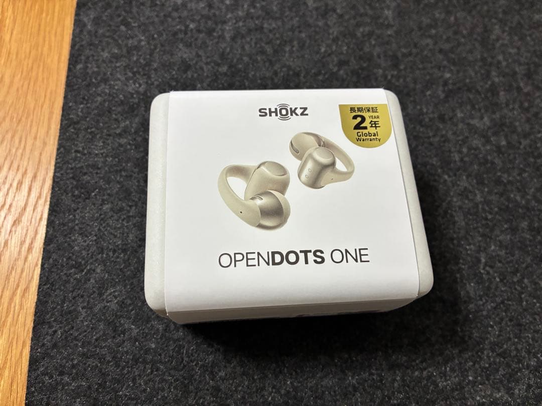 Shokz OpenDots ONE グレー SKZ-EP-000053