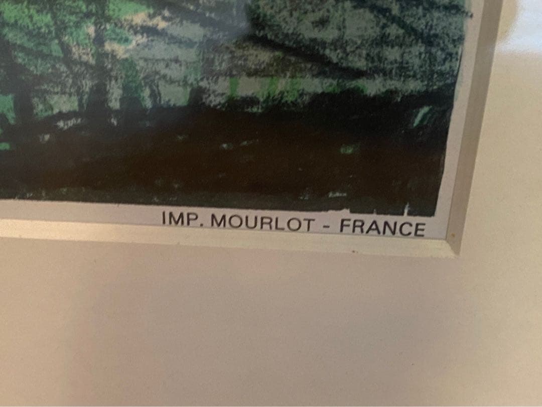 野菜果物＊ジャン•ジャンセン ひまわり 額縁 大判 リトポスター ムロール