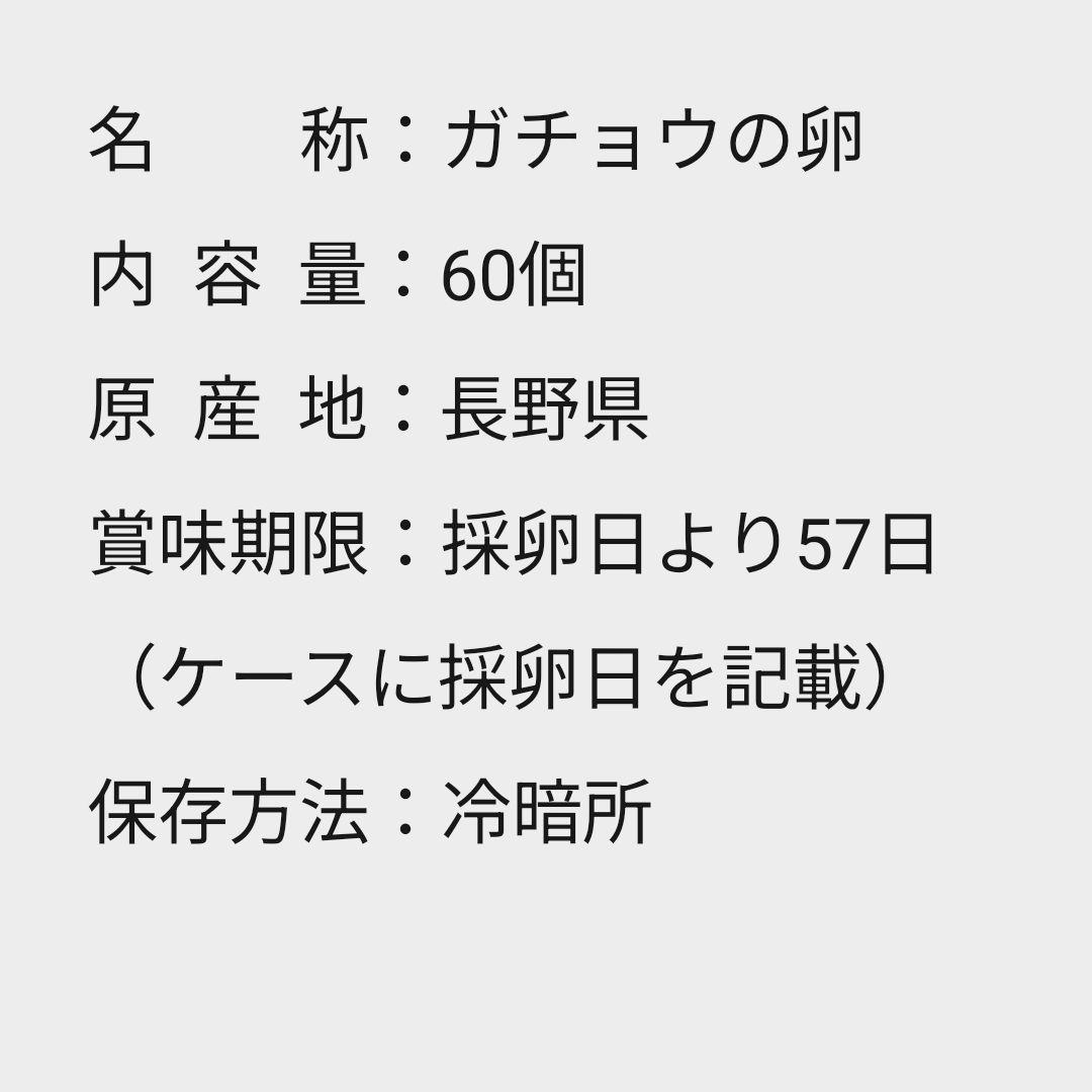 珍しいガチョウ の卵 60個 Mサイズ