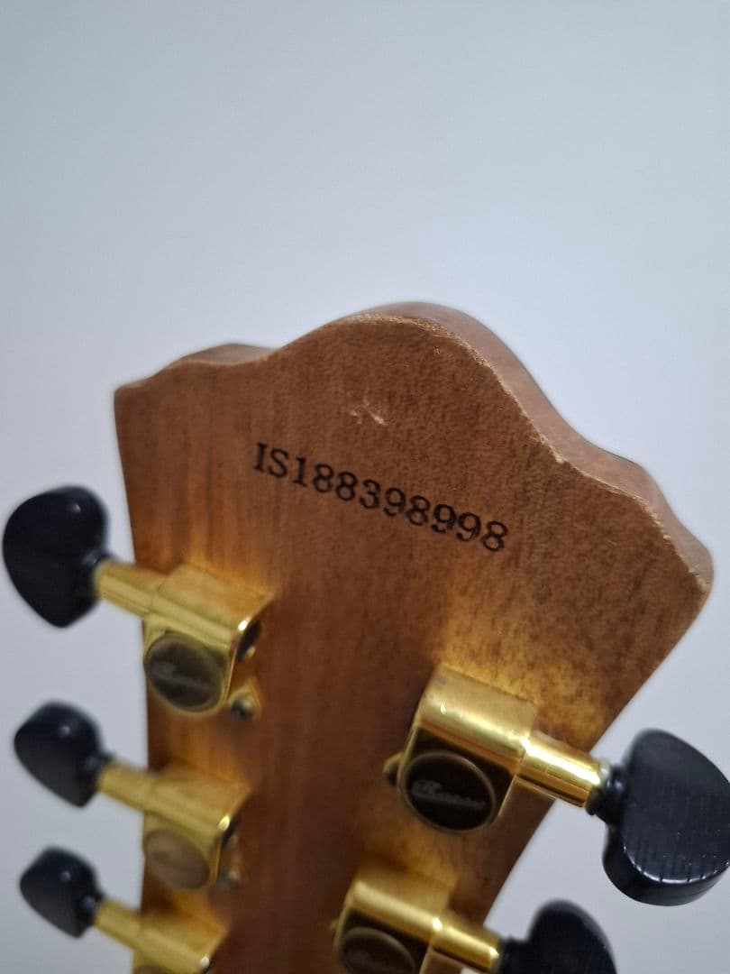 （専用）アコースティックギター　ROSSO R-5 IS18982909