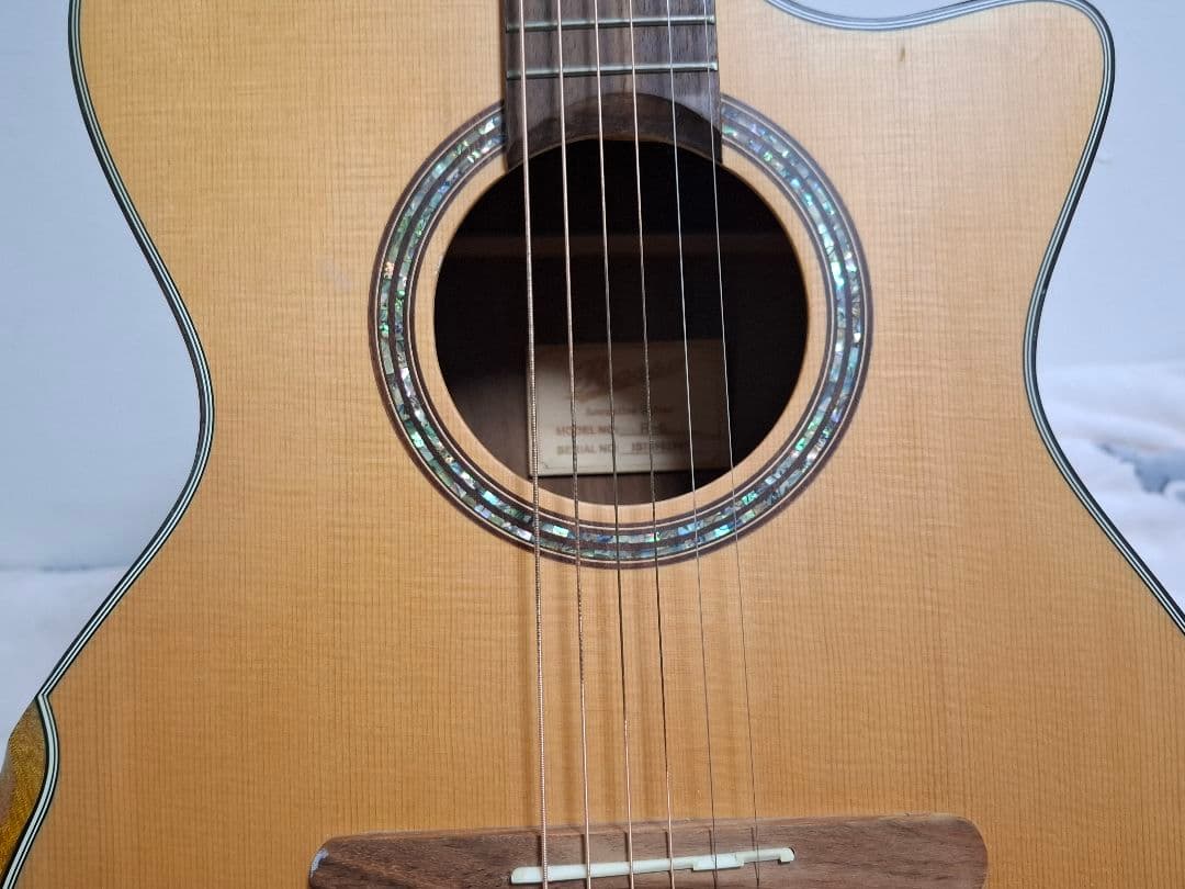 （専用）アコースティックギター　ROSSO R-5 IS18982909