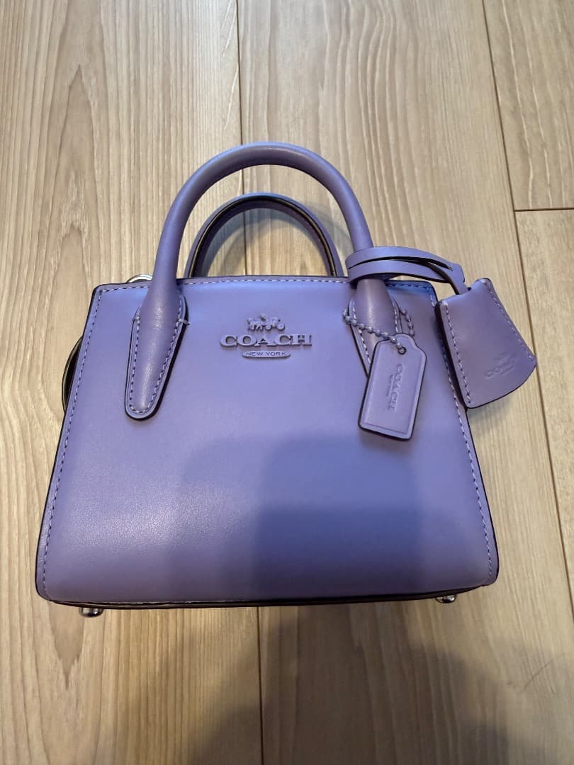 COACH　アンドレア　ミニ　キャリーオール