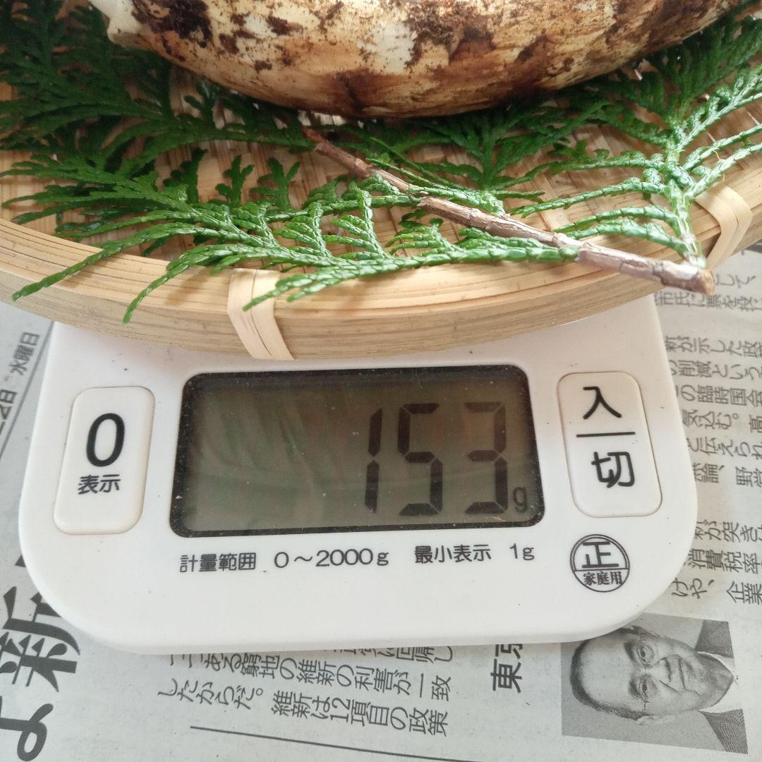 長野県産　松茸　153g