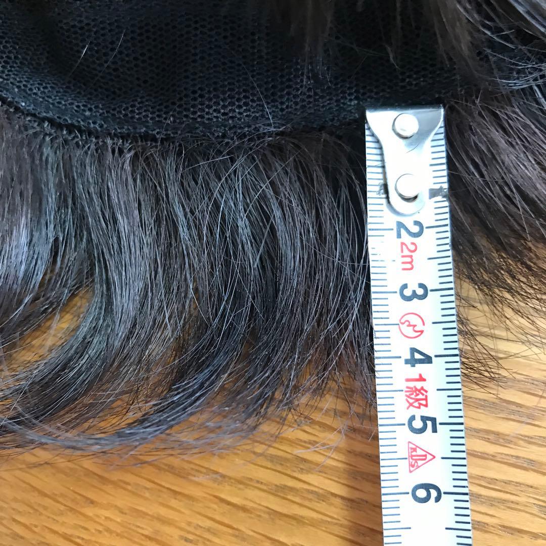 フェザー レオンカウィッグ EX-15 F4モダアクリル人毛