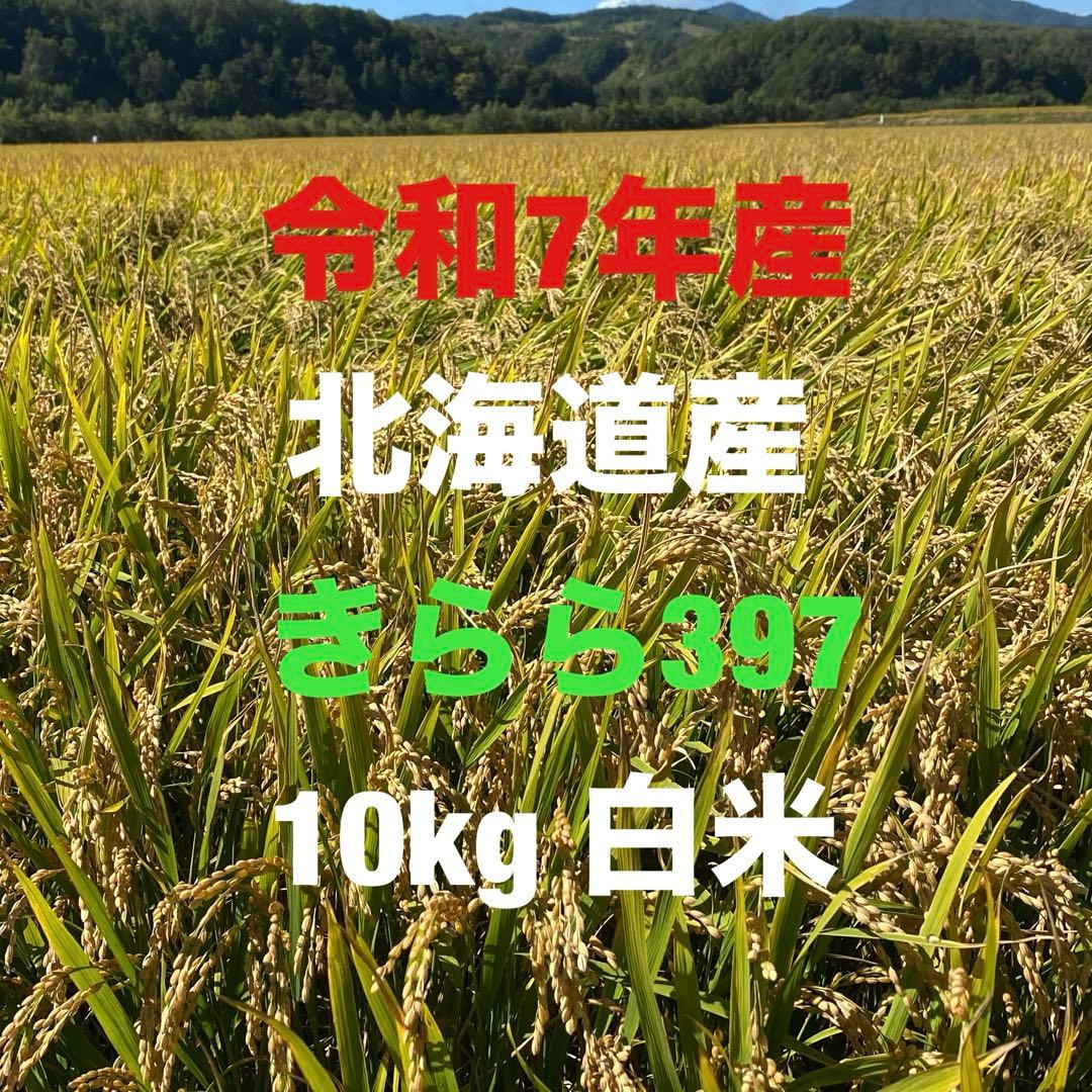 北海道産きらら397 10kg白米