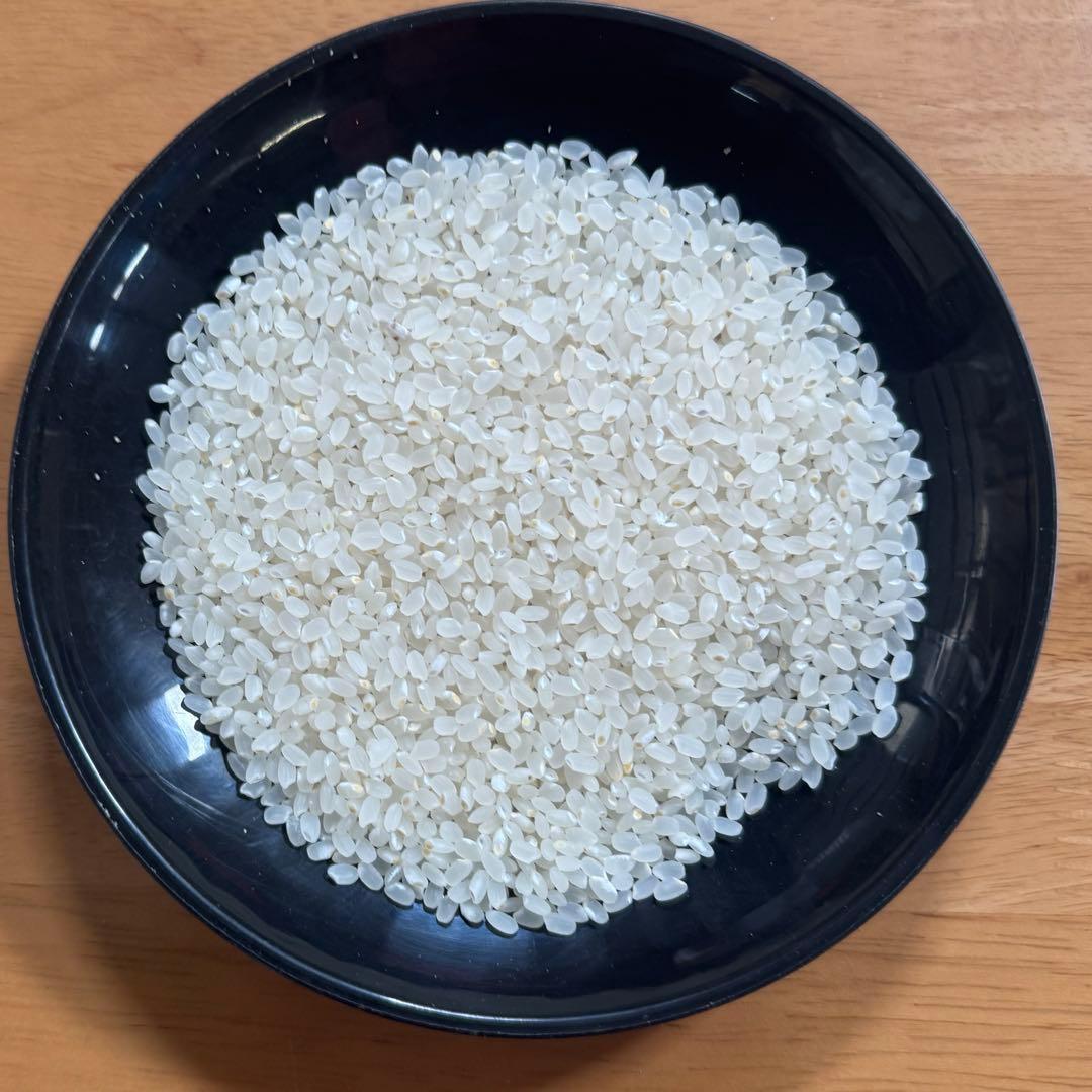 北海道産きらら397 10kg白米