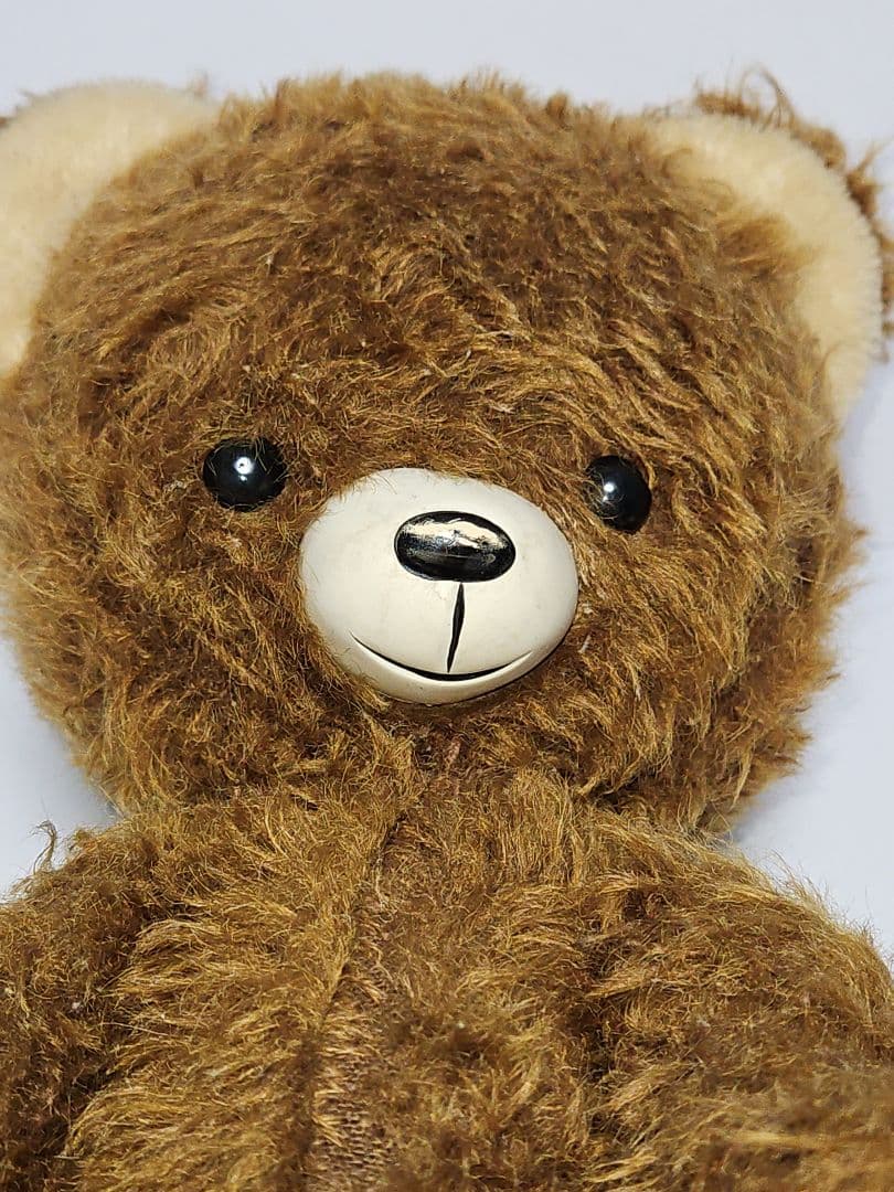 DDRベア テディベア 東ドイツ 大きめキュート ʕ•ᴥ•ʔ