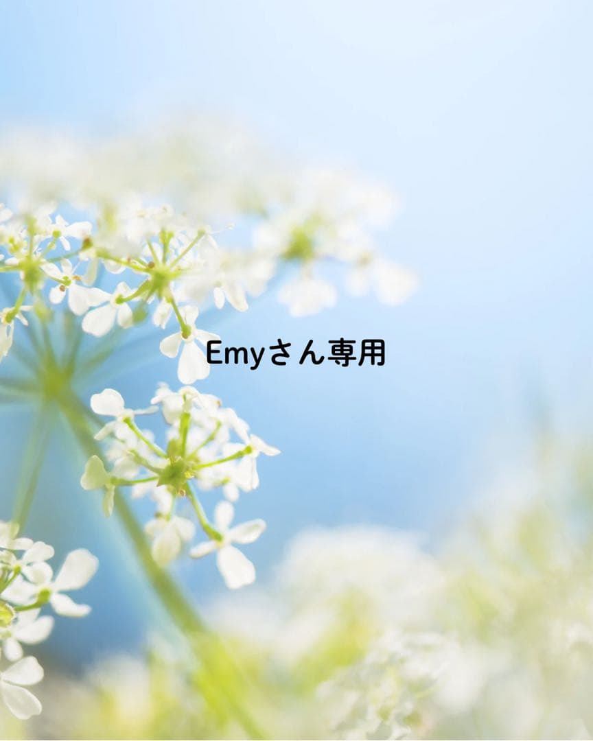 Emyさん専用
